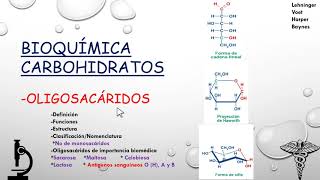 Carbohidratos Oligosacaridos 1 Definición estructura Clasificación y los de importanciaBiomdica [upl. by Eissahc]