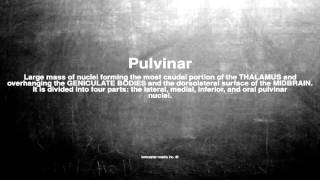 Medical vocabulary What does Pulvinar mean [upl. by Nairahcaz]