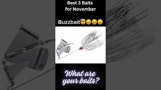 Novembers TOP 3 Bass Fishing Lures You Need to Know bassfishing fishing fish shorts short [upl. by Nyrraf]