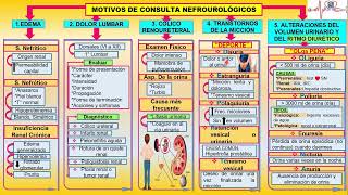 Motivos de consulta Nefrourológicos [upl. by Elem]