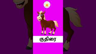 Vilangugal Animals Name in Tamil for kids and children  Tamilarasi [upl. by Ainoek]