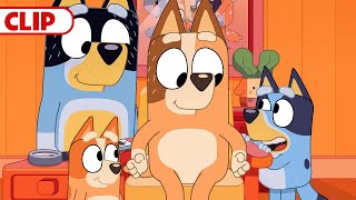 Bluey Season 3 Episode 27 quotMusical Statuesquot Episode Clip  disneyjr  BlueyOfficialChannel​ [upl. by Olrak29]