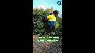 Almighty Garden TRANSFORMATION [upl. by Yroger]