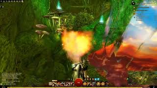 Guild Wars 2  Caledon Forest JP  Spelunkers Delve [upl. by Ainekahs]