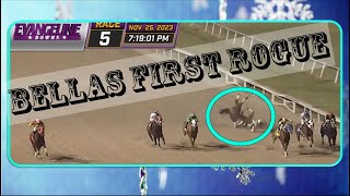 quotBellas First Roguequot ☃️ TERRIFYING SPILL 112523 evangelinedowns horseracing [upl. by Amhser]