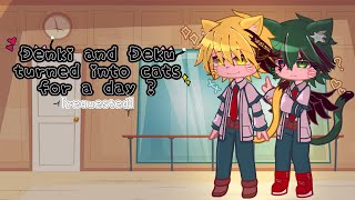 Denki and Deku turned into cats for a dayrequestedmhaexpdeku au [upl. by Moritz]