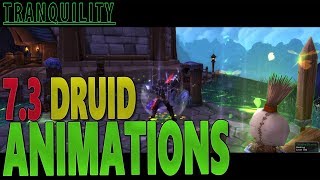 73 DRUID CASTINGSPELL ANIMATIONS  World of Warcraft Legion [upl. by Dibb]