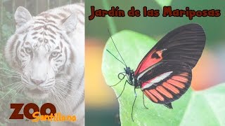 Zoo de Santillana del Mar Jardín de las Mariposas [upl. by Owiat246]