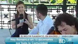 El mejor flamenco ahora en Madrid [upl. by Namzaj]