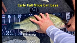 Glide bait bass fishing [upl. by Aiki]