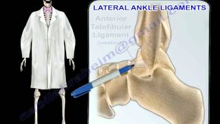 Ankle Ligaments Anatomy  Everything You Need To Know  Dr Nabil Ebraheim [upl. by Yam]