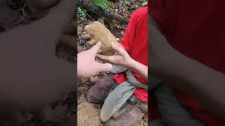 Metal Detecting A Union Trench Line From 1863 [upl. by Hornstein]