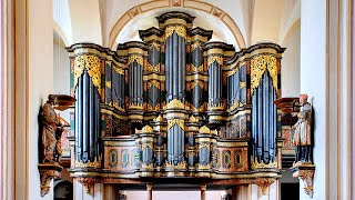 Dieterich Buxtehude The Organ Works  Дитрих Букстехуде Произведения для органа [upl. by Bambie811]