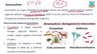 What is Amensalism  Amensalism అంటే ఏమిటి  La Excellence [upl. by Boigie]