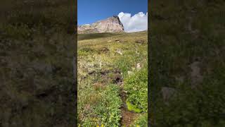 ⛰️ Epic Mountain Peak Colorado USA 🏞️ follow me for more [upl. by Lukasz]