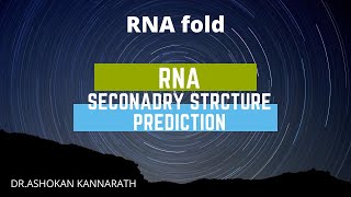 RNA secondary Structure Prediction [upl. by Bonner205]