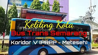 Bus Trans Semarang Koridor V Terbaru [upl. by Eerahs]