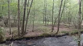 Former Logging Railroad in Hickory Run Pa [upl. by Pascha]