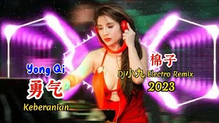 棉子  勇气  Yong Qi  Dj小九 Electro Remix 2023 Keberanian dj抖音版2023 [upl. by Nivlam296]