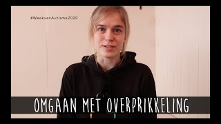 Omgaan met Overprikkeling [upl. by Tom]