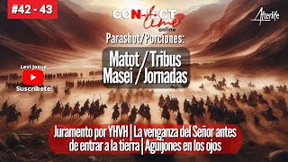 Porciones MATOT  MASEI Juramento por YHVH  Su venganza antes de entrar a la tierra  Aguijones [upl. by Eniamret]