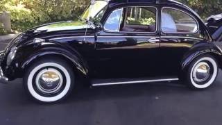 Walk Around ZelectricBug Electric 1966 VW Beetle Rebuild [upl. by Barncard]