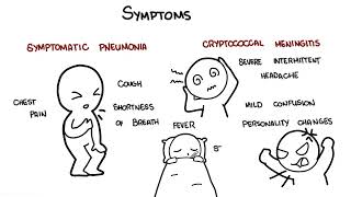 Cryptococcus neoformans infection  symptoms pathophysiology diagnosis treatment [upl. by Ennovy]