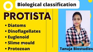 Biological Classification  Protista  DiatomsDinoflagellatesEuglenoidSlime mouldProtozoan NEET [upl. by Koenraad]