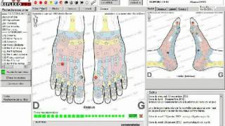 Formation REFLEXOLOGIE REFLEXOPRO logiciel de Mireille MEUNIER et Michel DHELIN version détaillée [upl. by Haneekas708]
