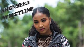 Shenseea  Waistline Lyrics [upl. by Leffert658]