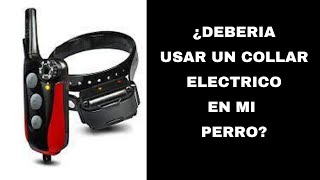 ¿Debo usar un collar eléctrico en mi perro [upl. by Mullac]