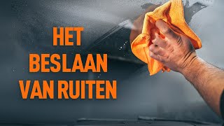 Zo verhinder ik dat de autoruiten beslaan  AUTODOC tips [upl. by Belldame860]