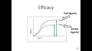 Efficacy vs potency [upl. by Maon]