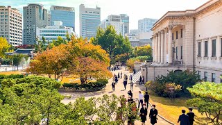 4K Colorful Seoul In Autumn Deoksugung Palace Beautiful Afternoon Walk 아름다운 가을 오후 서울 덕수궁 걷기 워킹 [upl. by Nilpik]