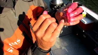 quotHowToquot  Rigging Coon Shrimp For Steelhead Fishing [upl. by Betsy]