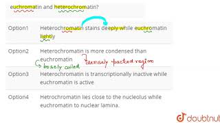 Which of the following is not a difference between euchromatin and heterochromatin [upl. by Nilesoj402]