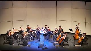 MBruch Romance for Viola and String Orchestra Op85 ArrYoon Jae Lee [upl. by Yreffoeg]