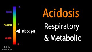 Acidosis Respiratory and Metabolic Animation [upl. by Cohn251]