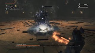 Bloodborne  Abhorrent Beast I BL4 No Damage No Poison Knives [upl. by Naitsirhc]