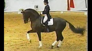 Donnerhall  Legendary oldenburg stallion Damon Hill Digby Donnperignon [upl. by Katheryn]