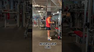 Cable Bicep Exercises [upl. by Gurney]