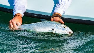 Bonefishing the Islamorada Flats in the Florida Keys [upl. by Ogden]