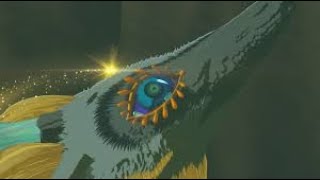 Tears and Shines Zelda TOTK Part 40 [upl. by Rellim375]