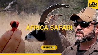 Um Safari na África do Sul com Crishuntbrasil parte 02  Ainda tenho vagas para setembro de 2023 [upl. by Castro]