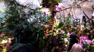 Exotic Orchid exhibition Wiena Austria [upl. by Truscott]