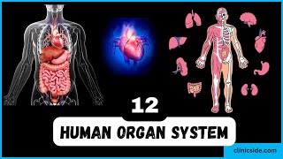 12 Organ Systems and Their Roles amp functions  Easy Science Lesson  3D [upl. by Melbourne]