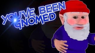 YOUVE JUST BEEN GNOMED MEME Gnome meme [upl. by Lalittah]