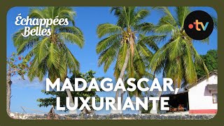 Madagascar luxuriante et généreuse  Échappées belles [upl. by Winnick]