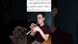 Penny Lane Piccolo Trumpet Solo The Beatles Canadian Brass  Max Stephenson shorts [upl. by Llekim]