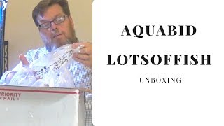 Aquabid Unboxing LOTSOFFISH Best Shipper Amazon Puffers Kuhli Loaches Part 2 of 2 [upl. by Trebornhoj]